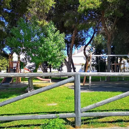 Pinar De Montemar 托雷莫利诺斯
